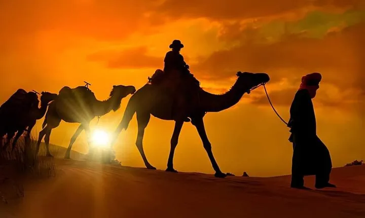 Camel ride Marrakech