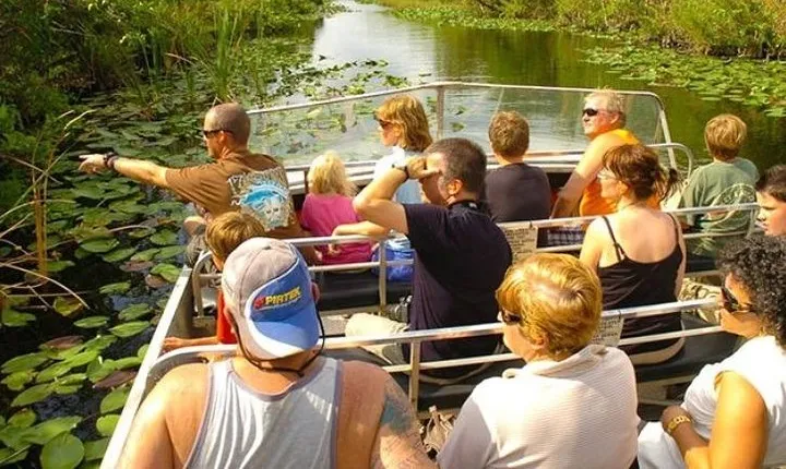 Everglades Tour in Miami