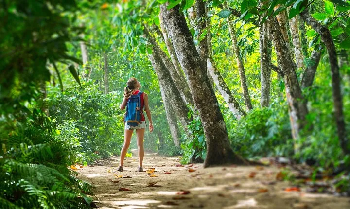 Carara National Park Admission Ticket