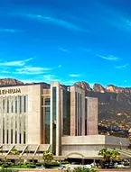 MS Milenium Monterrey, Curio Collection by Hilton