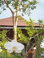 Khum Sai-Ngam Hotel & Resort