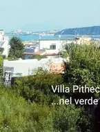 Villa Pithecusa