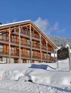 Luxury Apartment on the ski Slope in La Chapelle Dabondance