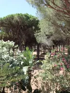Villa andaluza en zona Playa Barrosa con piscina y barbacoa