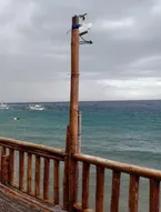 Bubblemaker Dive and Beach Resort - Hostel