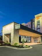 Hampton Inn By Hilton Greenville/I-385 Haywood Mall