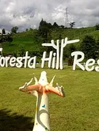 Foresta Hill Resort