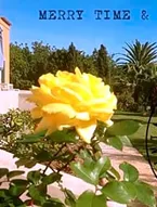 Quinta Rosa Amarela