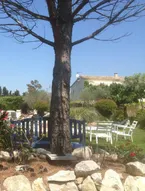 Villa With 3 Bedrooms in Maillane, With Private Pool, Enclosed Garden