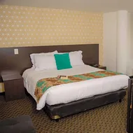 Hotel Castellana 95