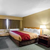 Econo Lodge Fort St John