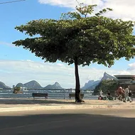 Apartament Rio Center