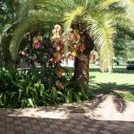 Cresta Bosele Hotel