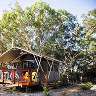 Port Stephens Koala Sanctuary