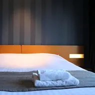 Hotel Sirius