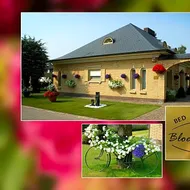 B&B Bloemenweelde