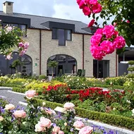 B&B La Vie En Roses