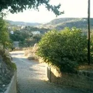 Hibiscus Cottages