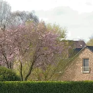 De Rankhove