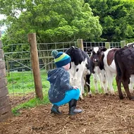 Manderley Park Farmstay BB