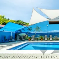 Blue Iguana
