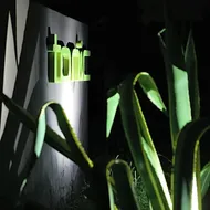 Tonic Hotel