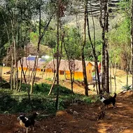 IVOS Hostel & Camping