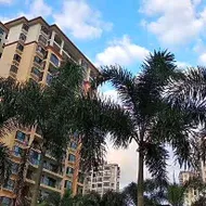 Coconut Maple Home Apartment
