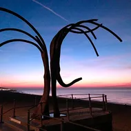 Comfort Aan Zee Guestrooms