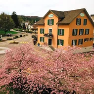 Hotel - Restaurant Waage