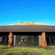 Nayara Hangaroa