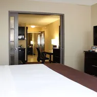 Holiday Inn & Suites Pointe-Claire Montreal Airport