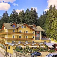 LiebesNesterl Bergwirt - Boutique Hotel