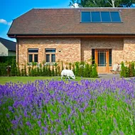 B&B Gielse Garden
