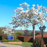 Hume Country Motor Inn