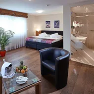 Hotel Ambassador Brig