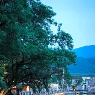 Blossom House Ningbo Hanling