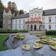 Chateau Herálec Boutique Hotel & Spa by L'Occitane