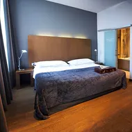 Hotel Domus