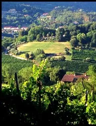 Ca' Contea