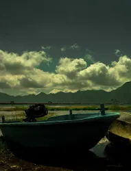 Kedisan Lake View by Atharva Bali