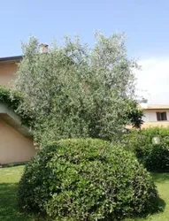 Residence Le Giare