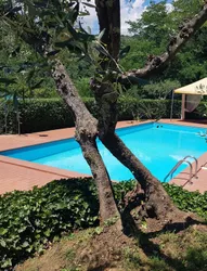 Villa Cecchini