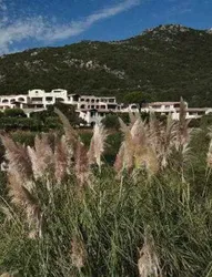 Abi d'Oru
