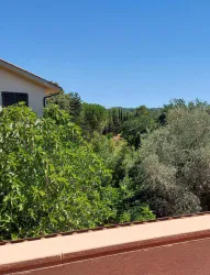 Monolocale x 2 a 1,6 km da Castiglioncello