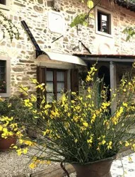 B&B Podere Badia