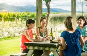 Full Day Winemakers Tour in Marlborough