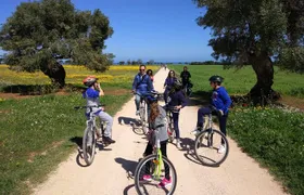 Private Bike Tour with Olive Oil Tasting