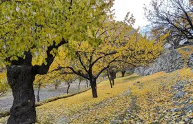 Hunza Autumn Tour