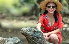 Daily Trip Highlight Komodo Archipelago by Speed Boat